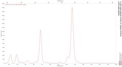 Analyse (RAM) von Beryll (NHMW-MIN-Ay671)
